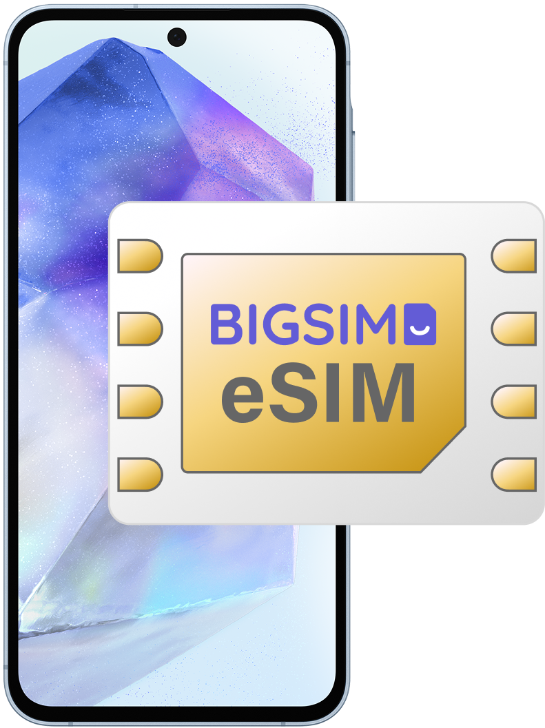 BIGSIM eSIM