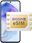 BIGSIM eSIM
