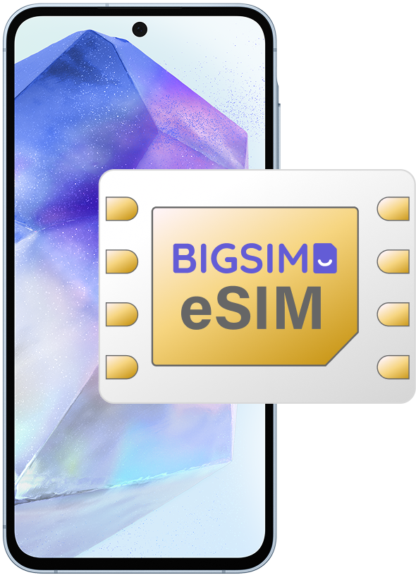 BIGSIM eSIM