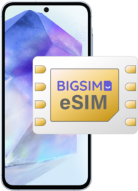 BIGSIM eSIM